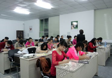 到哪里寵物美容培訓好