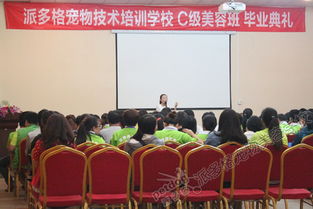 河南寵物美容學校哪家技術好