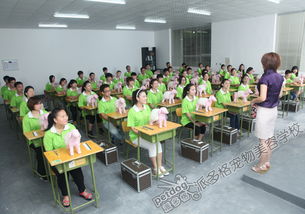 派多格寵物美容學校第46期學員作品展現專業技能與創意